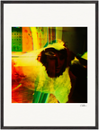 In the Eye Framed print 60x80 cm / 24x32″ Black frame 31
