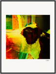 In the Eye Framed print 60x80 cm / 24x32″ Black frame 40