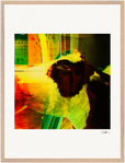 In the Eye Framed print 60x80 cm / 24x32″ Wood frame 22