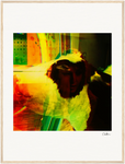 In the Eye Framed print 60x80 cm / 24x32″ Wood frame 22