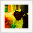 In the Eye Framed print 70x70 cm / 28x28″ White frame 14