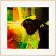 In the Eye Framed print 70x70 cm / 28x28″ Wood frame 23