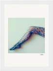 Lacey Leg Framed print 13x18 cm / 5x7″ White frame 6