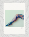 Framed print "Lacey Leg "Framed print cm / 5x7″ White frame