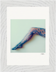Lacey Leg Framed print 13x18 cm / 5x7″ White frame 6