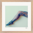 Lacey Leg Framed print 30x30 cm / 12x12″ Wood frame 21
