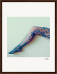 Lacey Leg Framed print 30x40 cm / 12x16″ Dark wood frame 33