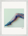 Lacey Leg Framed print 30x40 cm / 12x16″ White frame 11