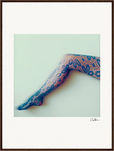 Lacey Leg Framed print 60x80 cm / 24x32″ Dark wood frame 37