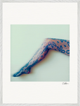 Lacey Leg Framed print 60x80 cm / 24x32″ White frame 15