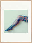 Lacey Leg Framed print 60x80 cm / 24x32″ Wood frame 26
