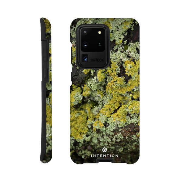 Moss