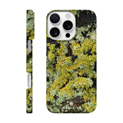 Moss