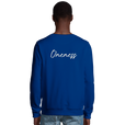 Oneness - "The Urban Matrix" Sweatshirt Royal Blue 4