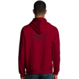Real - "Around and Around" Hoodie Burgundy 4