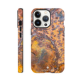 Rusted Phone Case iPhone 13 Pro 23