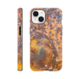 Rusted Phone Case iPhone 14 19