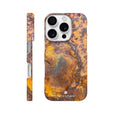 Rusted Phone Case iPhone 16 Pro 17