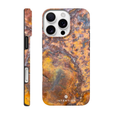 Rusted Phone Case iPhone 16 Pro Max 9