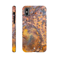 Rusted Phone Case iPhone X 17