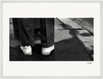 This is Where He Stood Framed print 50x70 cm / 20x28″ White frame 13