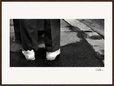 This is Where He Stood Framed print 60x80 cm / 24x32″ Dark wood frame 42