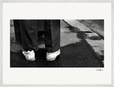 This is Where He Stood Framed print 60x80 cm / 24x32″ White frame 15