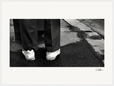 This is Where He Stood Framed print 60x80 cm / 24x32″ White frame 16