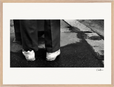 This is Where He Stood Framed print 60x80 cm / 24x32″ Wood frame 27