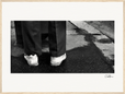 This is Where He Stood Framed print 60x80 cm / 24x32″ Wood frame 29