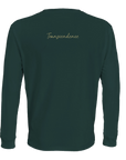 Transcendence - "Ready to Fly" Long sleeve green empire XS 2