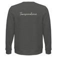 Transcendence - "Ready to Fly" Sweatshirt Grey Melange 2