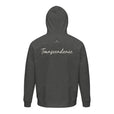 Transcendence - "Ready to Fly" Hoodie Grey Melange 2