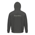 Transcendence - "Ready to Fly" Hoodie Grey Melange 2