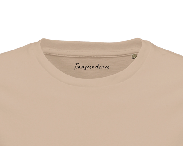 Transcendence - "Ready to Fly"