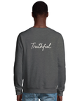Truthful - "Have a Looksie" Sweatshirt Grey Melange 4