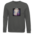 Truthful - "Have a Looksie" Sweatshirt Grey Melange 1