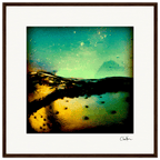 Underwater Flight Framed print 50x50 cm / 20x20″ Dark wood frame 40