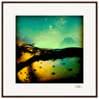 Underwater Flight Framed print 70x70 cm / 28x28″ Dark wood frame 30