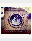 Wash It Framed print 15x20 cm / 6x8″ White frame 7