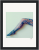 A person's leg extended horizontally in dark, floral-patterned lace tights against a light background, finished with a gallery-quality frame and a small signature in the lower right corner—perfect as inspirational wall art.