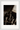 A Dreamer’s Strength Framed print 28x43  cm / XL (11x17″) White frame 11