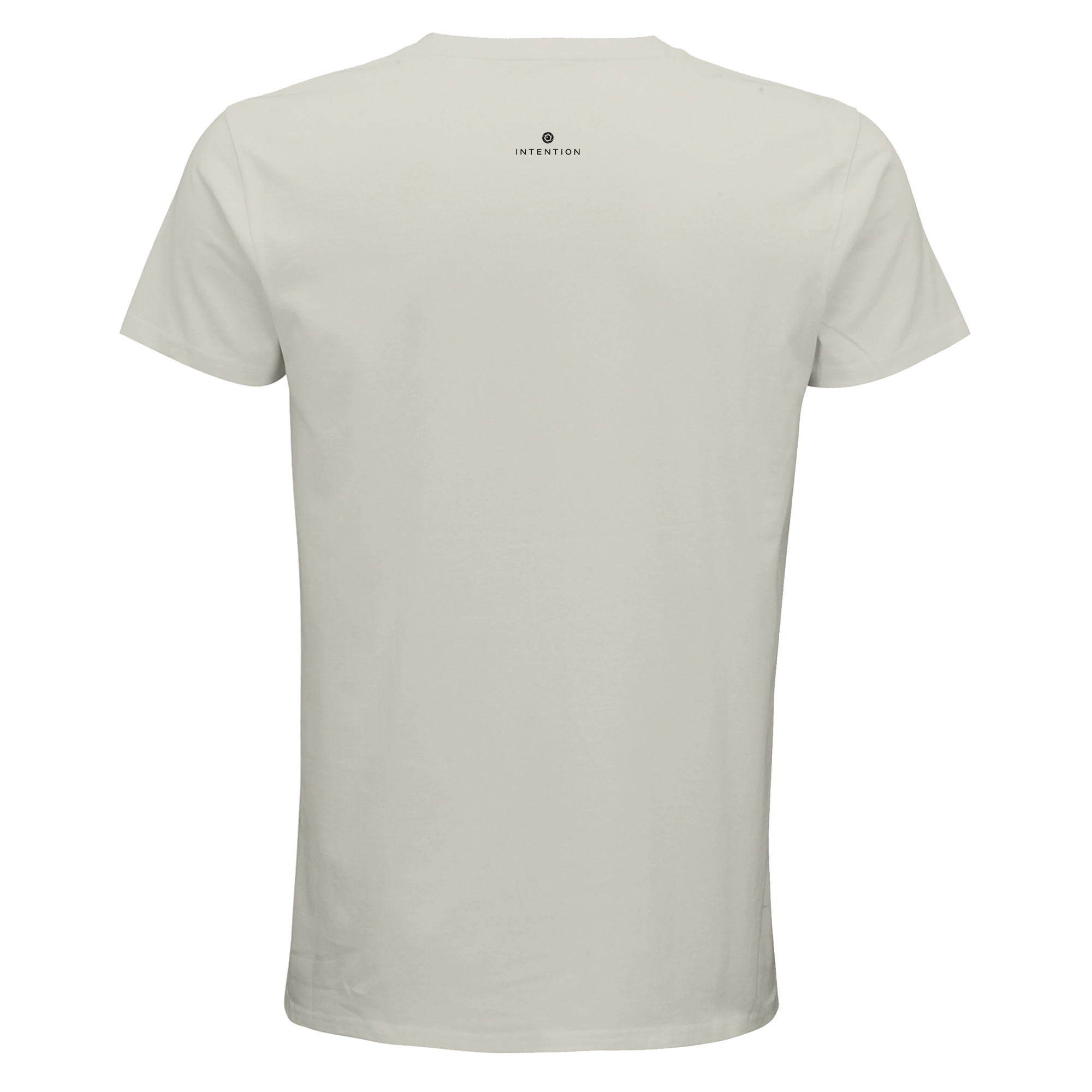Adventurous Dancing in Colours Organic Men's Fitted T-shirt Ash flat back