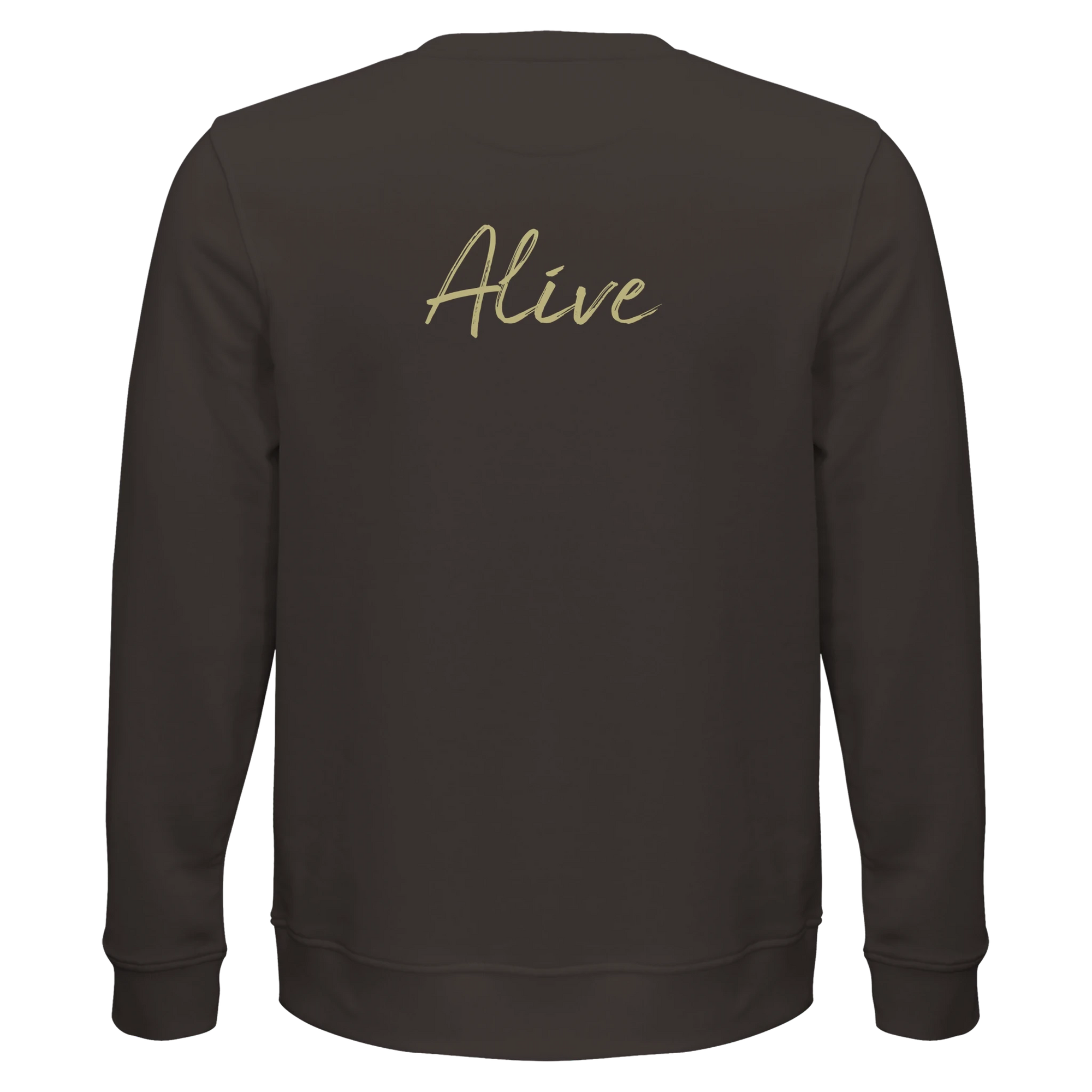 Alive  Sweatshirt Moving Smiles“deep charcoal grey 29