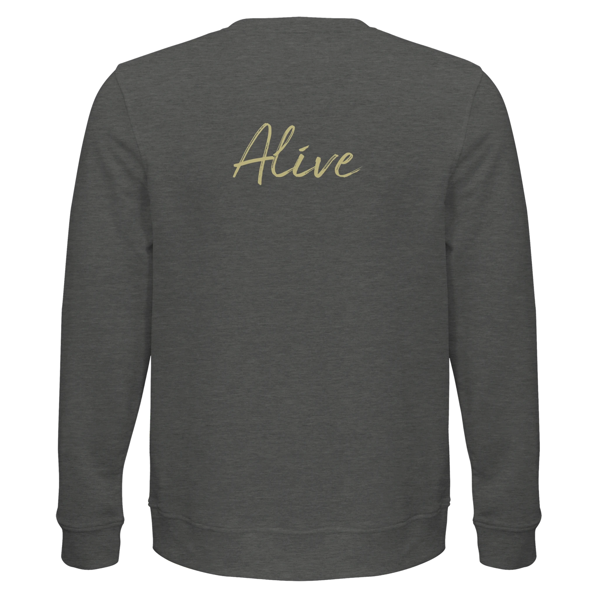 Alive Moving Smiles“ Sweatshirt Grey Melange , 35