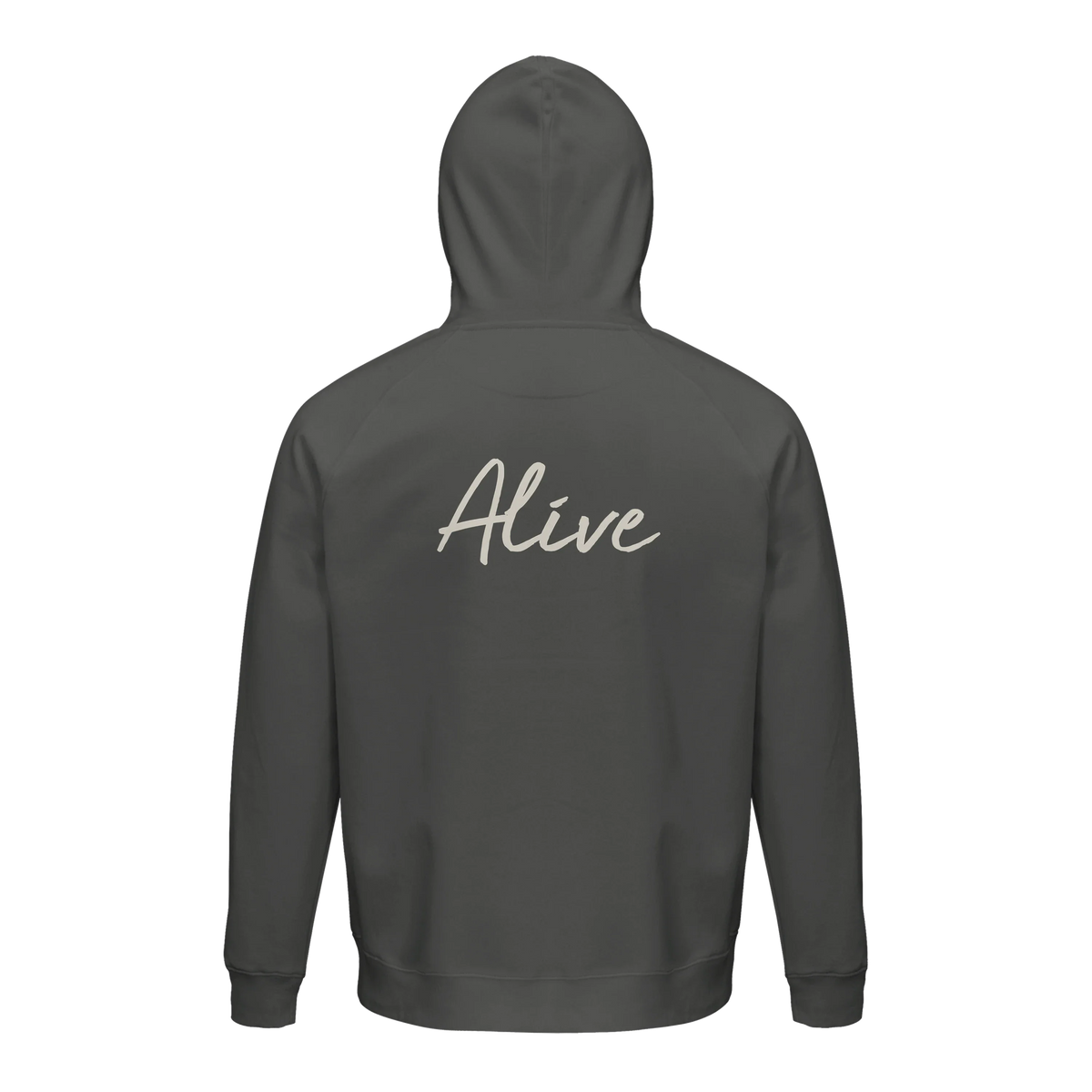 Alive - "Moving Smiles" Hoodie charcoal melange 2