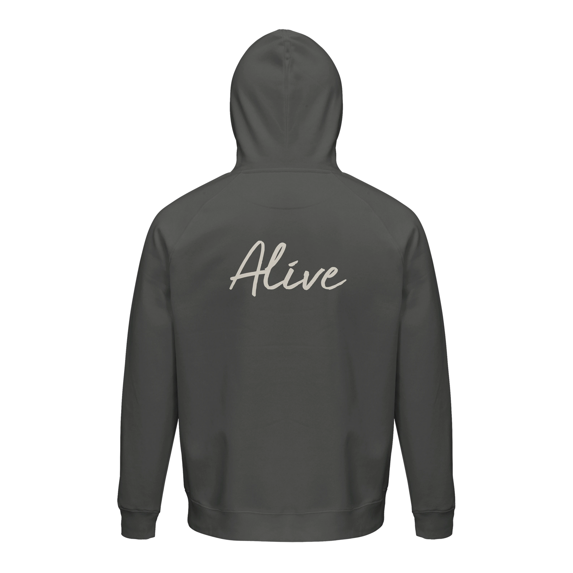 Alive - "Moving Smiles" Hoodie charcoal melange 2
