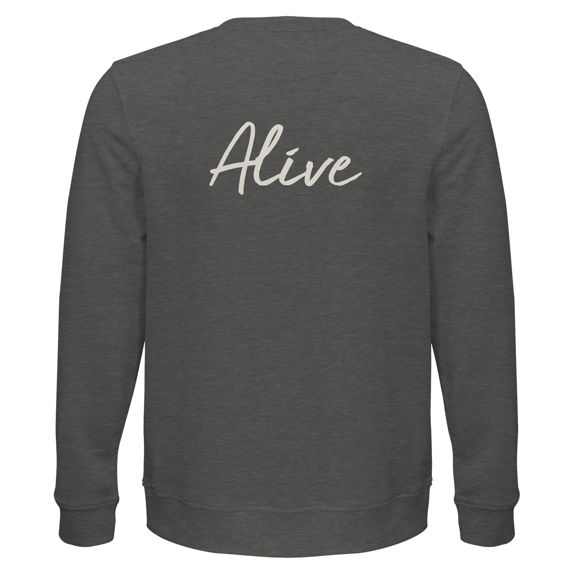 Alive - "Moving Smiles" Sweatshirt Grey Melange 2