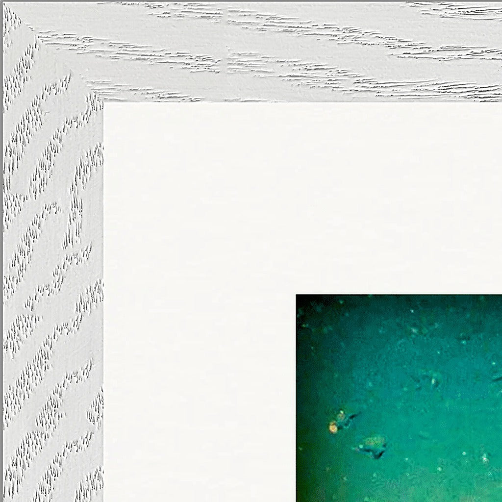 Underwater Flight Framed print 30x30 cm / 12x12″ White frame corner detail