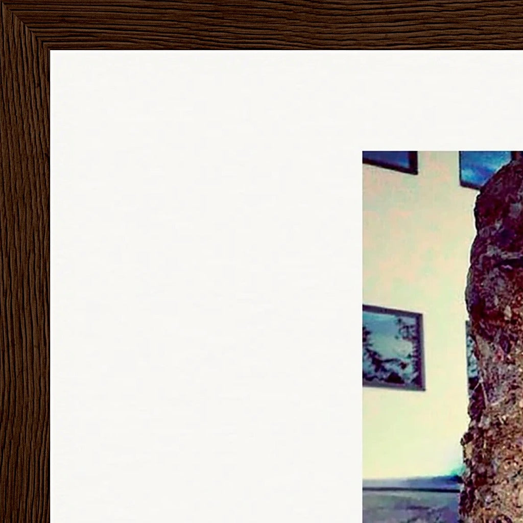 Wash It Framed print 30x45 cm / 12x18″ Dark wood frame corner detail